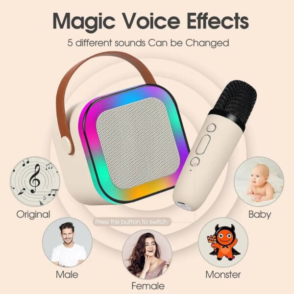 Wireless Karaoke Speaker