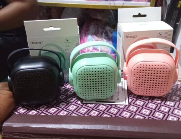 W-302 Speaker