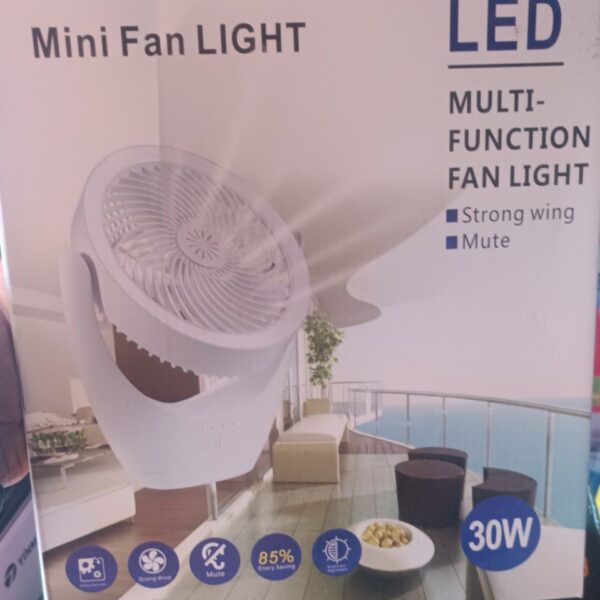 Mini Fan Light