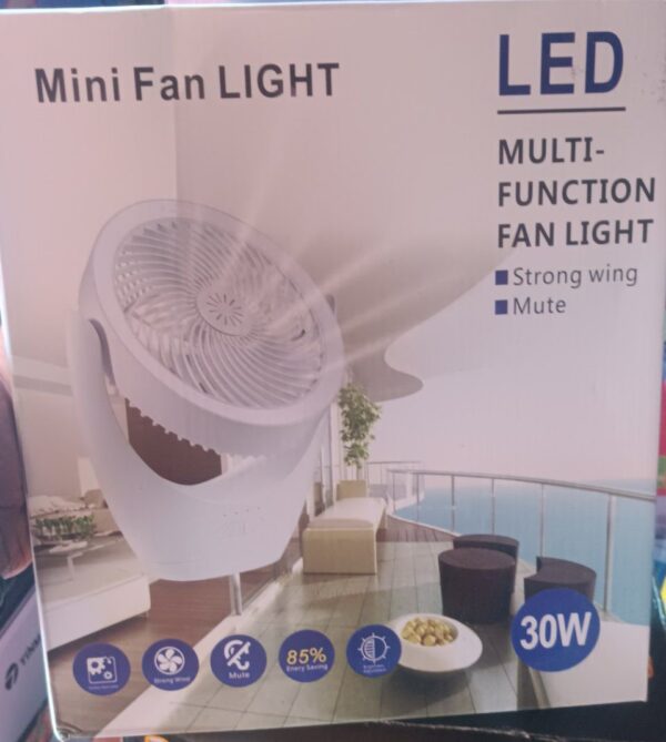 Mini Fan Light