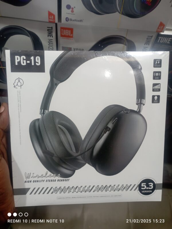 PG-19 headset with mic.