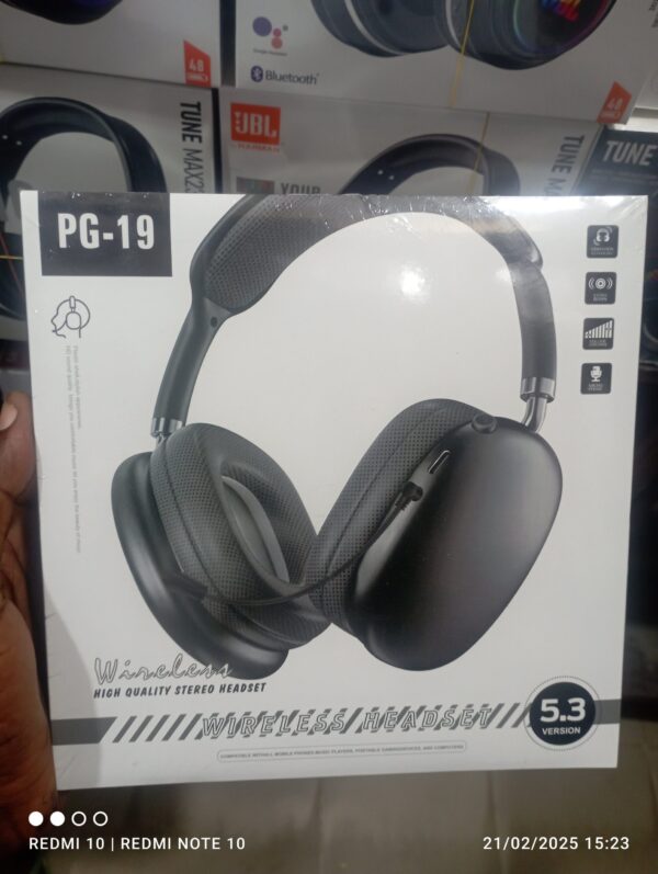 PG-19 headset with mic.