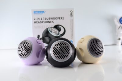 2in1 sub wood earphone