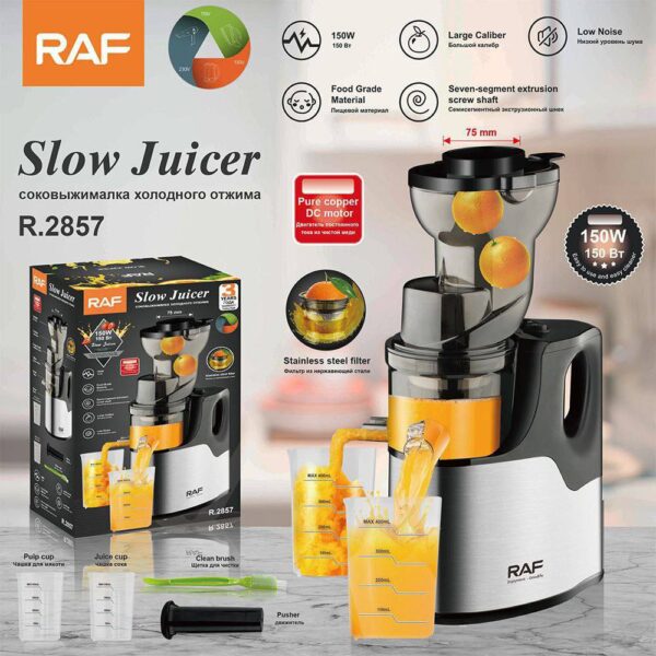 Raf Large Capacity Slow Juicer