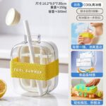 water bottle ice cube mold